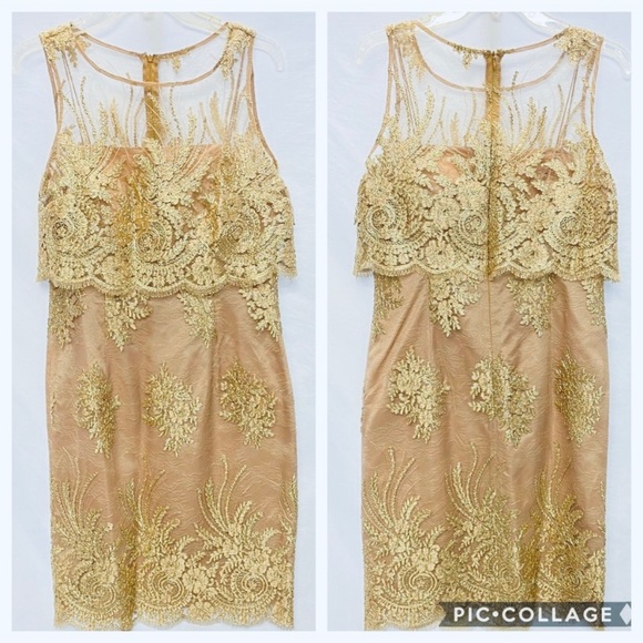 Adrianna Papell Metallic Lace popover Dress - Picture 4 of 8